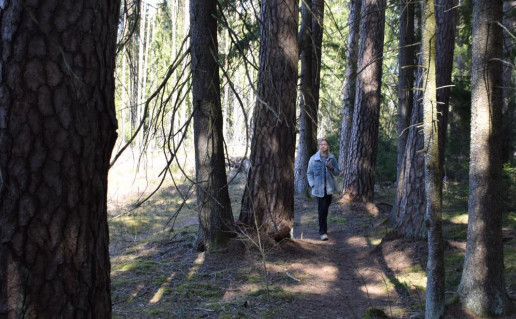 19_Labanoro girios pažintinis takas (7)_r1.jpg